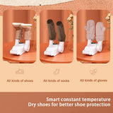 360° Shoe Dryer & Deodorizer with 120-Minute Timer